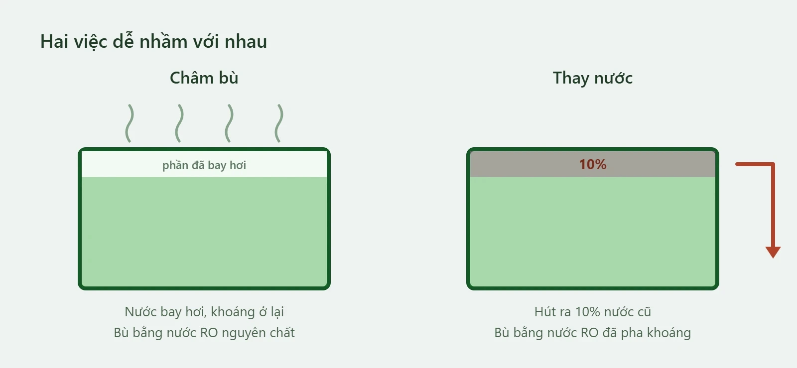 Châm bù bằng nước RO, thay nước bằng nước đã pha khoáng