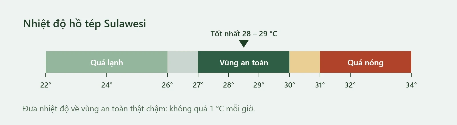 Thang nhiệt độ: dưới 26 độ quá lạnh, 27 đến 30 độ an toàn, trên 31 độ quá nóng