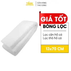 Bông lọc miếng