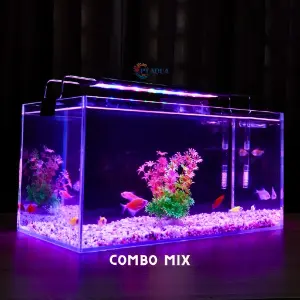 Bể mini 40 cm combo đầy đủ (lọc, đèn, phụ kiện)