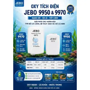 Sủi oxy tích điện Jebo 9970