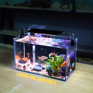 Bể cá mini combo phụ kiện 5–7 món