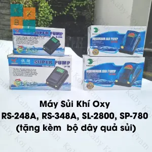 Máy sủi oxy RS 348A 2 vòi