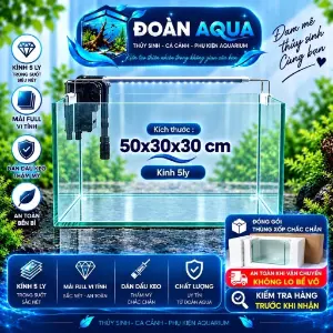 Bể kính 50×30×30 cm, kính 5 li (khoảng 45 lít)