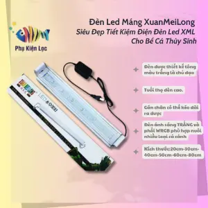 Đèn máng XuanMeiLong
