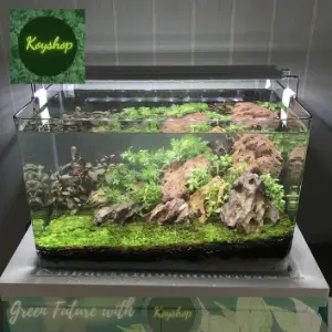Hồ kính đúc uốn cong trọn bộ (lọc, đèn, phụ kiện)