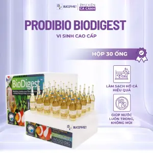 Prodibio BioDigest