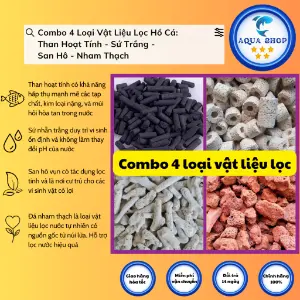 Combo 4 loại vật liệu lọc