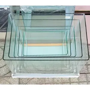 Hồ đúc uốn cong cạnh, giao hỏa tốc TP.HCM