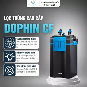 Lọc thùng Dophin CF 3 trong 1