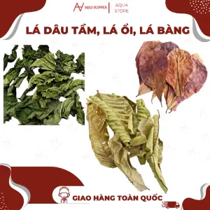 Lá dâu tằm, lá ổi sấy khô