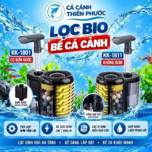 Lọc bio Kaokui