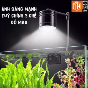 Đèn treo YEE hợp kim nhôm