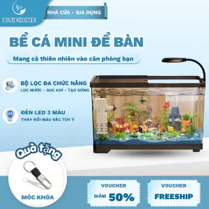 Bể thủy sinh trọn bộ mini kèm đèn và lọc
