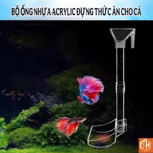 Ống thả thức ăn