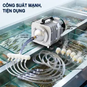 Máy sủi oxy Hailea ACO