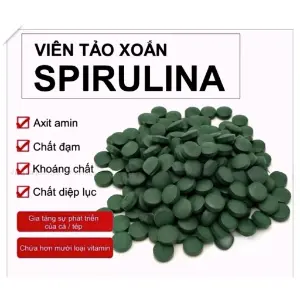 Tảo viên Spirulina