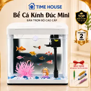 Bể kính cường lực mini trọn bộ (đèn LED, lọc)