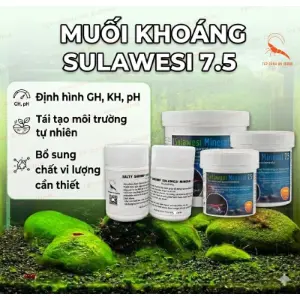Khoáng Sulawesi 7.5 hũ chiết 50 g*