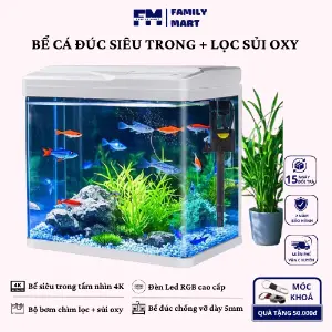 Bể mini đúc siêu trong trọn bộ có nắp