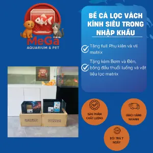 Bể lọc vách kính siêu trong kèm phụ kiện và vật liệu lọc