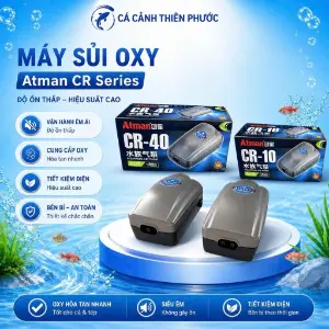 Máy sủi oxy Atman CR-10 / CR-40