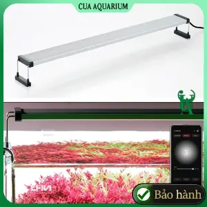 Đèn Chihiros B Series WRGB