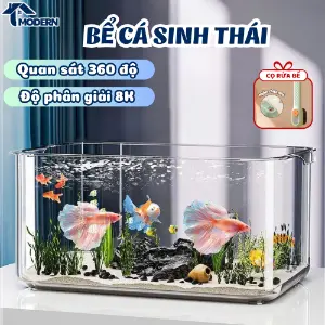 Bể nhựa trong suốt HD Modern