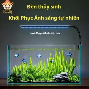 Đèn LED rãnh
