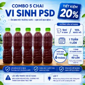 Vi sinh PSB