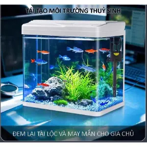 Bể kính đúc để bàn có đèn, lọc và nắp đậy