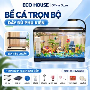 Bể thủy sinh full combo 9 món (đèn LED, lọc chìm)