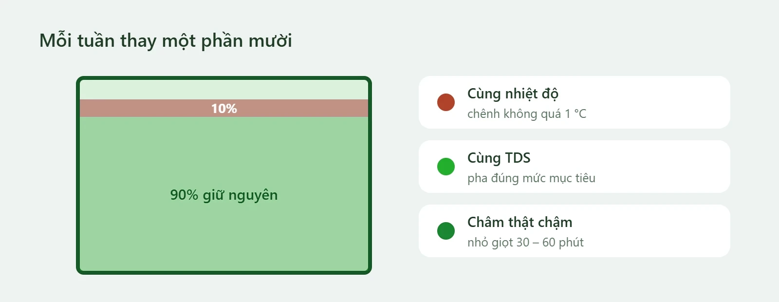 Thay 10 phần trăm nước mỗi tuần, nước mới cùng nhiệt độ, cùng TDS và châm thật chậm
