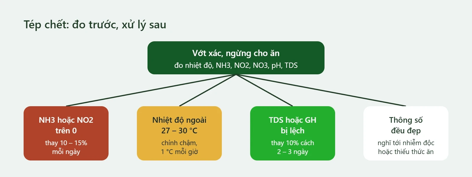 Sơ đồ xử lý khi tép chết: vớt xác, ngừng cho ăn, đo nước, rồi xử lý theo kết quả đo